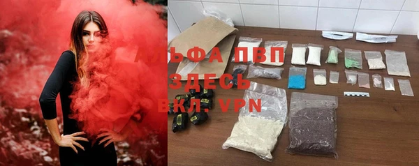 прущие грибы Алексеевка