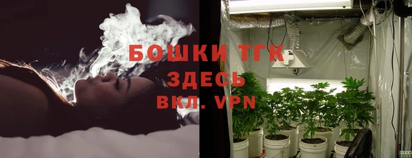 прущие грибы Алексеевка