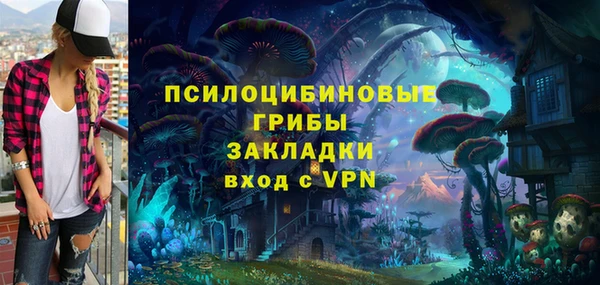прущие грибы Алексеевка